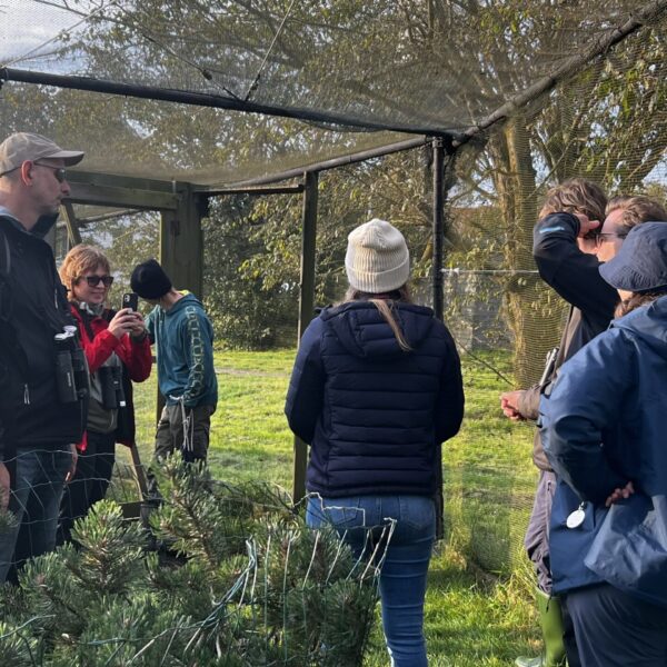 Framvísing av Helgelandsfelluni í nýtslu