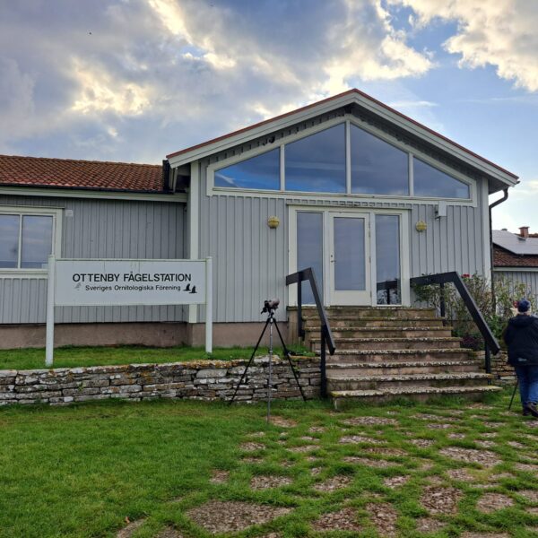 Ottenby Fågelstation