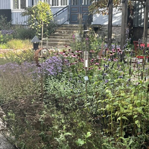 Kontórið hjá BirdLife Sverige